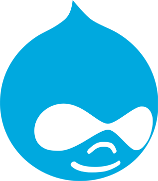 Hire Drupal Developers