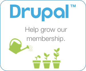 Lucid Softech’s support for Drupal fund raising initiative