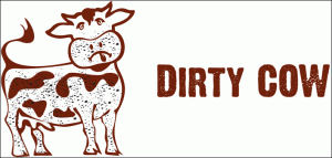What is Dirty Cow?