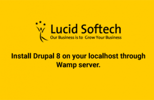 Install Drupal 8 on your localhost through Wamp server.