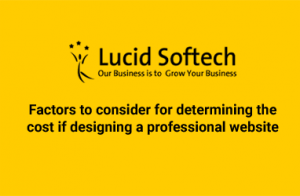 Factors to consider for determining the cost if designing a professional website