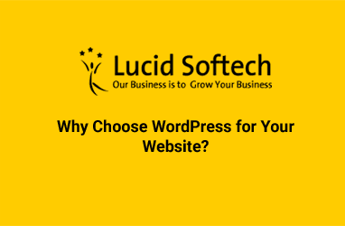 Why Choose WordPress for Your Website?