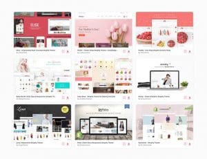 Various Shopify Themes