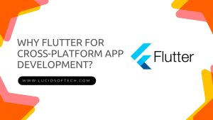 Why Flutter for Cross-Platform App Development - Lucid Softech IT Solutions